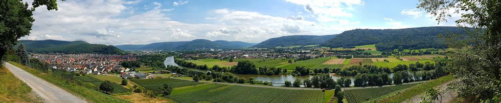 Hotel Rosenbusch Großheubach Exteriér fotografie